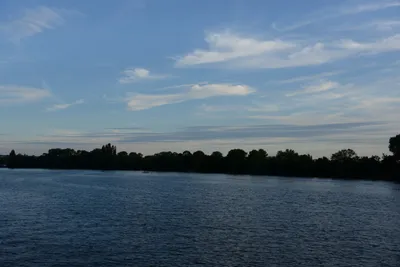 DSC_2908 (Large).JPG